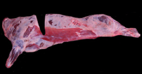 carns-mila-vedella-especejament-major