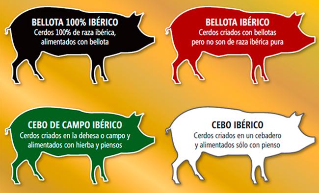 etiquetado-del-jamon-iberico-ministerio-de-agricultura-alimentacion-y-medio-ambiente