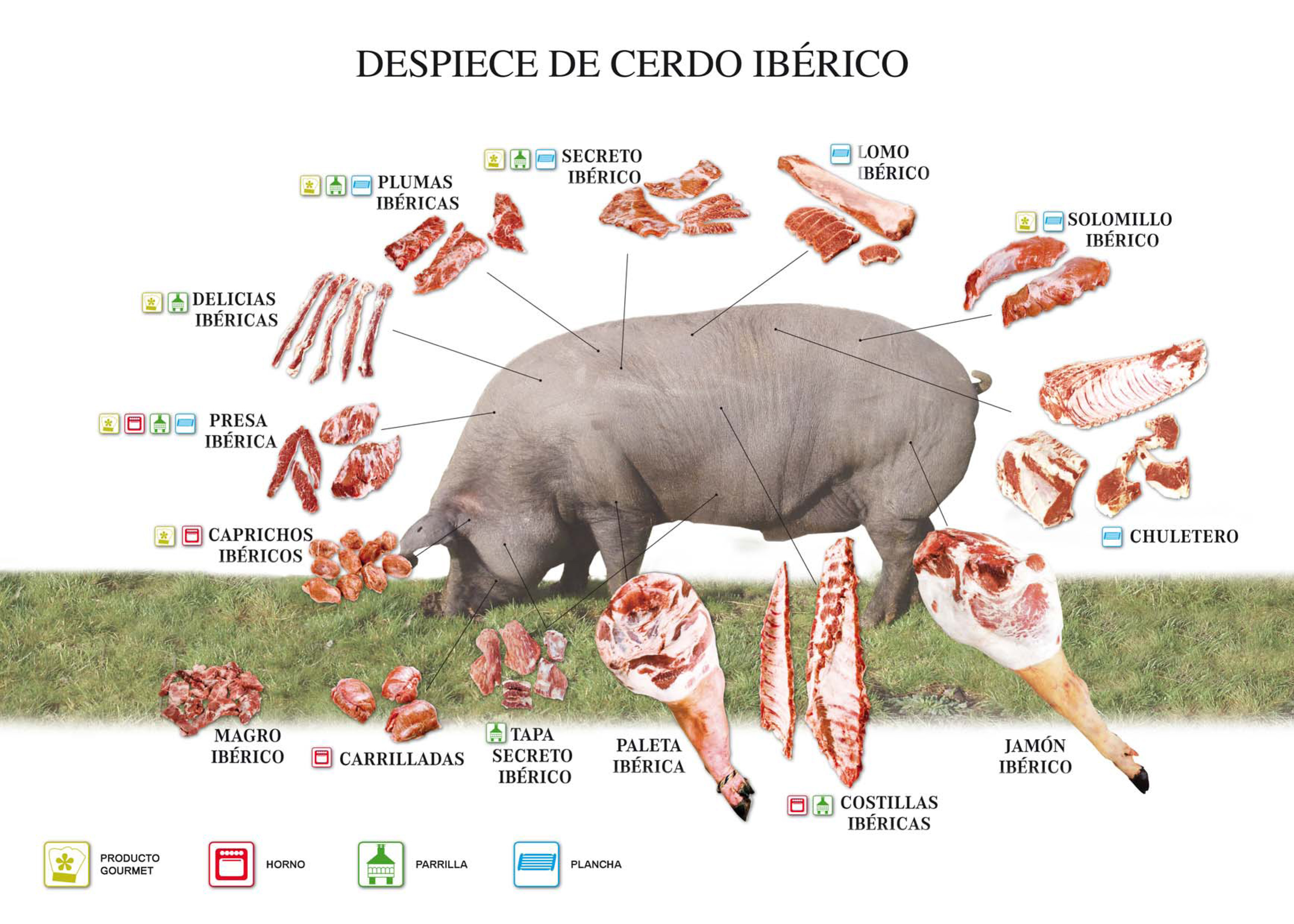 Parts del porc ibèric Parts del porc ibèric