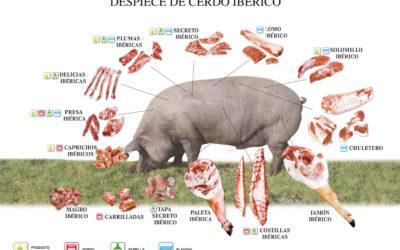 Les 3 peces de porc ibèric que has de conèixer