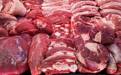 Consum de carn el 2026: tendències clau per a una restauració professional sòlida